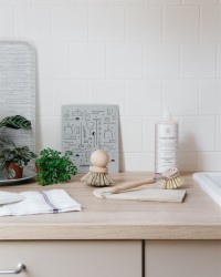 BROSSE VAISSELLE NATURELLE