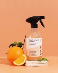 SPRAY MULTI-SURFACE - Orange & Basilic