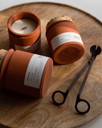 BOUGIE TERRACOTTA - Figuier et Galbanum