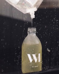 RECHARGE GEL DOUCHE  - Parfum cocooning