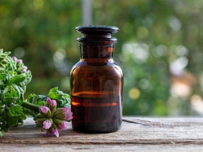 Quels répulsifs naturels contre les moustiques ?