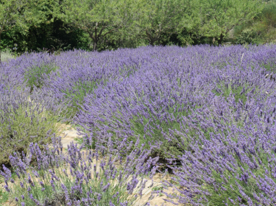 Les essentiels éco-responsables pour vos vacances d'été 